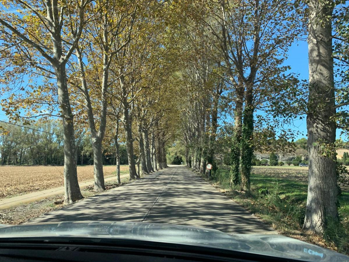Mas Pinell 3 -Viu Be L'Estartit Exterior foto